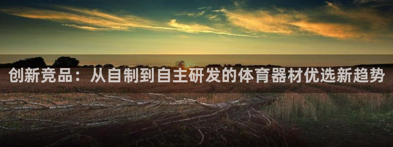 极悦平台注册流程详解图：创新竞品：从自制到自主研发的