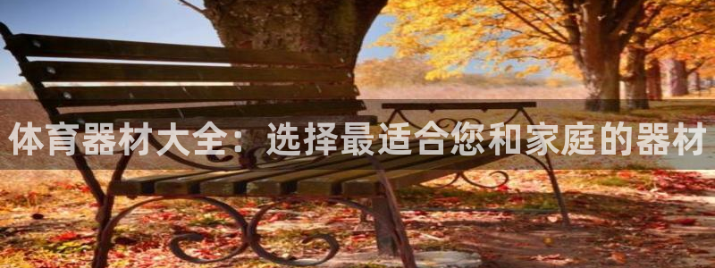 极悦平台是干嘛的啊：体育器材大全：选择最适合您和家庭