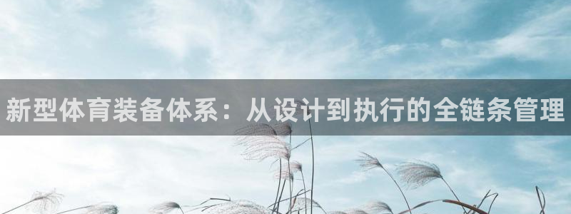 极悦娱乐官网APP下载：新型体育装备体系：从设计到执