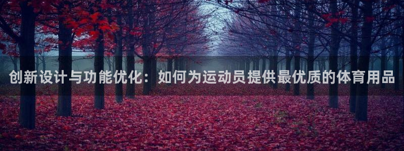 极悦官网的登录方法：创新设计与功能优化：如何为运动员