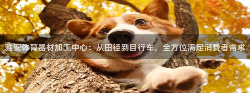 极悦平台注册登录失败：雅安体育器材加工中心：从田径到