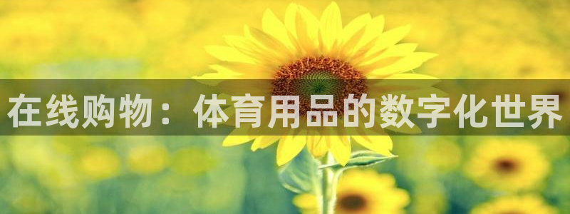 极悦官网入口登录网址：在线购物：体育用品的数字化世界