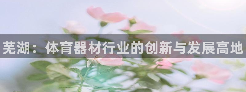 极悦平台注册失败如何解决问题：芜湖：体育器材行业的创新与发展