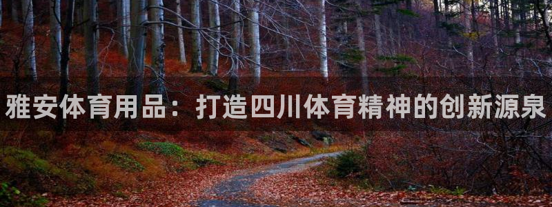 极悦平台是干嘛的啊：雅安体育用品：打造四川体育精神的