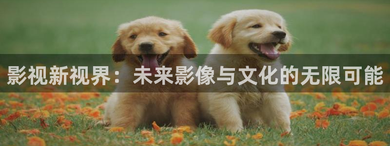 依依视频